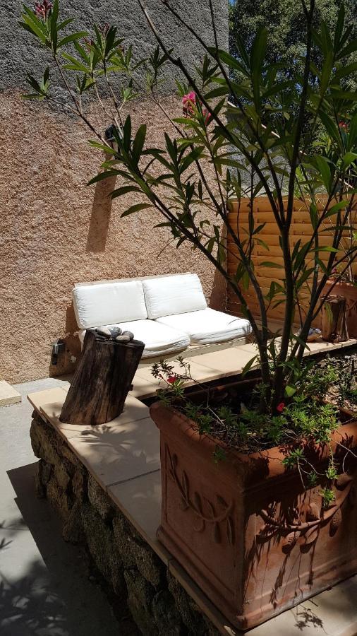 Le Mas De Cocody Le Plan-de-la-Tour Exterior photo